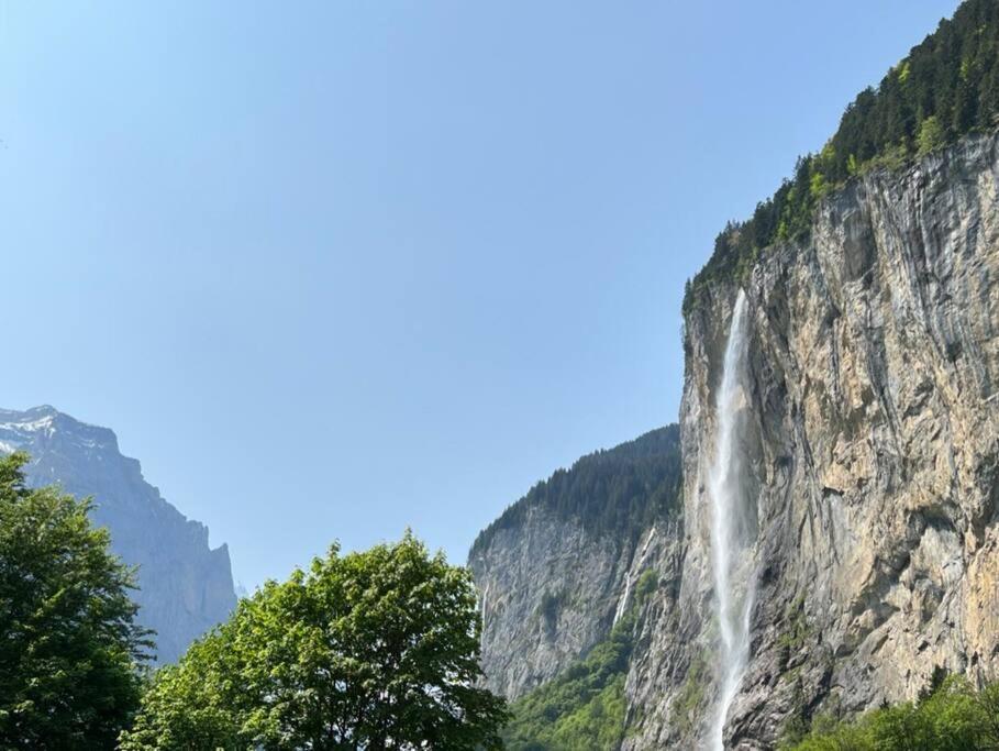 Chalet Maithili Lauterbrunnen -152-Year-Old Majestic Chalet 외부 사진