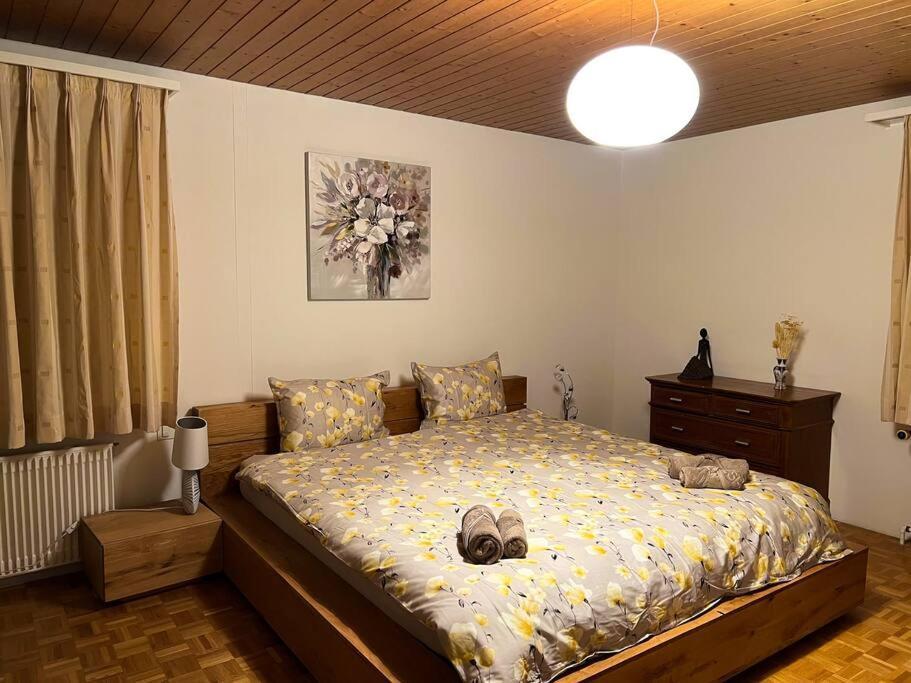 Chalet Maithili Lauterbrunnen -152-Year-Old Majestic Chalet 외부 사진