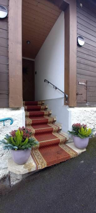 Chalet Maithili Lauterbrunnen -152-Year-Old Majestic Chalet 외부 사진